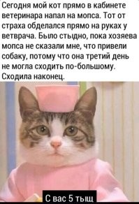 Скрины из соцсетей&nbsp;