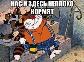 А кота спросили?