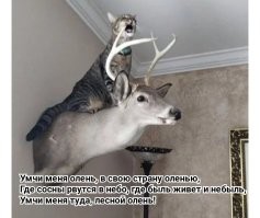 Продолжаем барражировать соцсети
