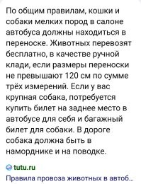 В Госдуме предложили ввести штраф за самовыгул собак