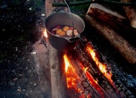 А зачем для шашлыков нужна дача? 

Выехал с парой ночевок на природу... Красота! 

Главное, срач за собой не оставлять!