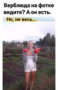 Фотоприколы и&nbsp;прикольные картинки