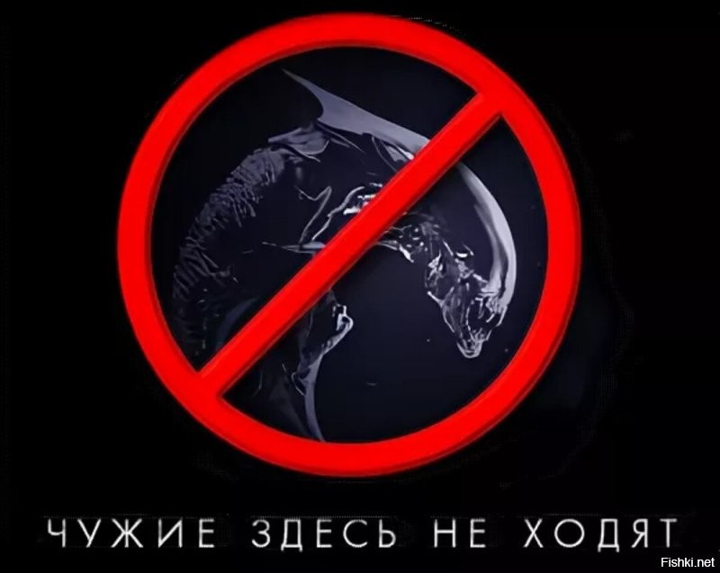 В Госдуме предложили ввести штраф за самовыгул собак
