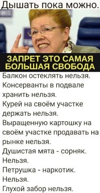 В Госдуме предложили ввести штраф за самовыгул собак