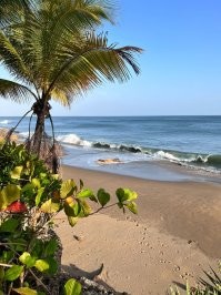 Прямые руки, чувство прекрасного ,композиции и перспективы и хорошая погода решают.  Фото моей мамы, сделанные на телефон просто так без обработки и фильтров.