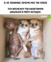 фото с обезьянкой