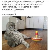 Не ищите здесь смысл. Здесь в основном маразм