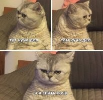 Не ищите здесь смысл. Здесь в основном маразм