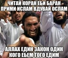Всадники без головы: в Сочи полицейские разыскивают мужчин, которые устроили скачки на лошадях по улицам