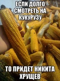 Ни на что не похожая кукуруза и откуда она взялась