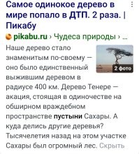 Ремни для лохов