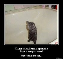 Животные, которые ненавидят водные процедуры