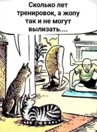 "Порочная скульптура": инсталляцию с котом убрали из центра Барнаула спустя 5 часов после установки
