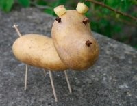 Котлета на палочках: пёс в шоке от новой стрижки