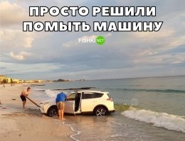 Таких ..даков везде хватает.