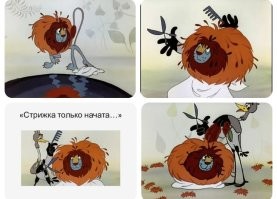 Котлета на палочках: пёс в шоке от новой стрижки