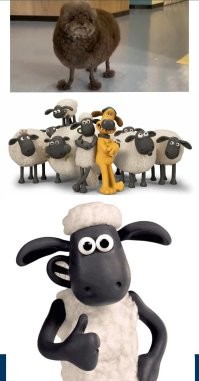 Котлета на палочках: пёс в шоке от новой стрижки