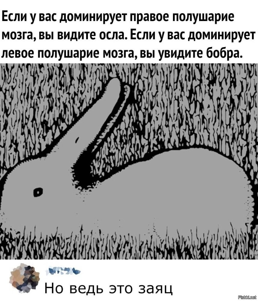 Это утка с мелкими зубами, лежащая клювом вверх