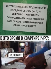 Звонок в дверь. Хозяин открывает. На пороге стоит сосед, который живет этажом ниже.   Я принес вам овса.   Овса! Зачем?   Это для той скотины, которая у вас топает!
