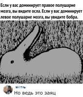 Смешались в кучу кони, люди
