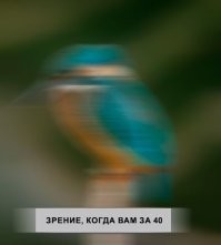 Что же такого в орлиных глазах, что делает их лучшими среди всех животных?