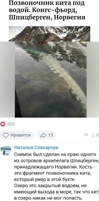 Какое, нахрен, озеро? 
Кит туда прилетел?