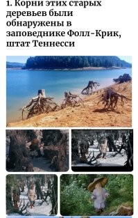 15 любопытных изображений интересных редкостей
