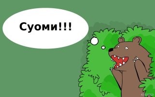 Финны возмущаются, что их перестали пускать в Россию покупать бензин