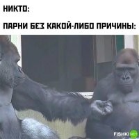 трындюлюну можно знатную прописать за такое. и коллектив добавит