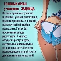 Фотоподборка