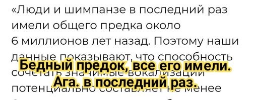 Ученые выяснили, что у&nbsp;шимпанзе есть свой примитивный язык. Поразительно!