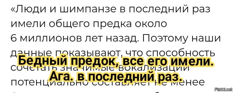 Ученые выяснили, что у&nbsp;шимпанзе есть свой примитивный язык. Поразительно!