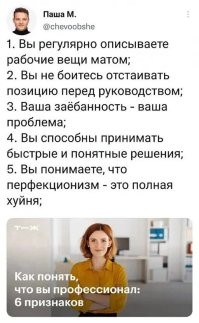 Я получается, суперпрофессионал. Я не боюсь отстаивать свою позицию перед начальством матом))