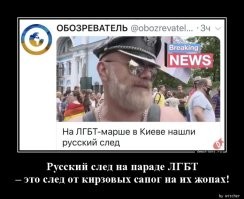 Демотиваторы: русский след, пионеры и котики