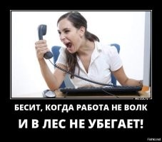 Демотиваторы: русский след, пионеры и котики