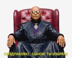 До и после «Джунглей»