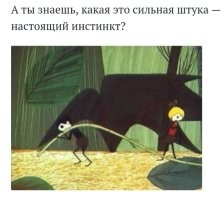 Существуют ли инстинкты у человека?