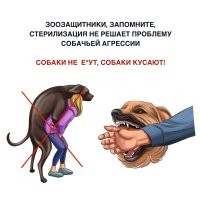 У Госдумы проходят пикеты с требованиям снять с рассмотрения законопроект о разрешении регионам убивать бездомных животных