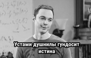 Продолжаем барражировать соцсети