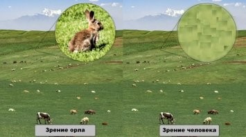 С такого расстояния только так