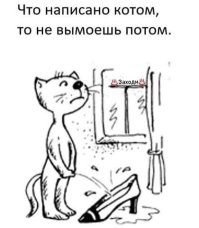 Демотиваторы: русский след, пионеры и котики