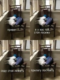 Фотоприколы и&nbsp;прикольные картинки