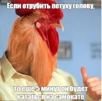 Весна идёт, природа просыпается, а вместе с ней и самокатчики