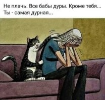 Как разные породы собак реагируют на стрижку когтей