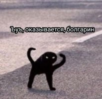 Коровкинг и скринжали: новая подборка каламбуров и лингвошуток