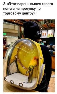 Граждане, которые вместо "спасибо" пишут "спс", вместо "с днём рождения" пишут "с др", вместо "привет" пишут "прив", вместо "попугая" пишут "попуга", скажите мне пожалуйста, что вы делаете с огромной кучей освободившегося времени? 
И, ребят, скажите им кто-нибудь, что автозамена сейчас сама дописывает слова. Выглядит это примерно так: