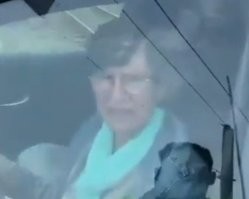 Явно у неё что-то в голове перемкнуло. 
Похоже, она вообще, не очень соображала, где она находится и что нужно делать.