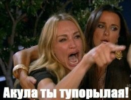 13-летняя американка жестоко избила маленькую акулу