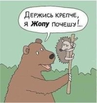 Забавные объявления и надписи, глядя на которые очень сложно пройти мимо, не улыбнувшись
