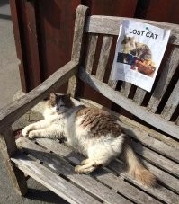 Совпадение? Совпадение! Да ещё какое